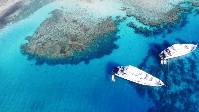 Snorkeling in Ras Mohamed by boat
